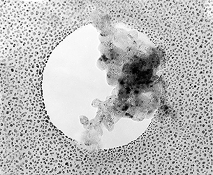 33-001030 TCTS_Combined_test_specimen