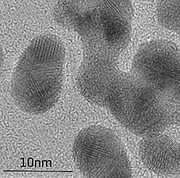 33-001070 TGPC_Gold particles on carbon film
