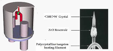 TFE tungsten source needle