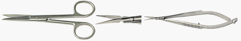 labsiccors (1)